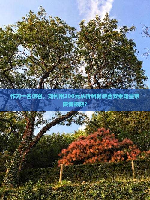 忻州到西安秦始皇帝陵博物院旅行社
