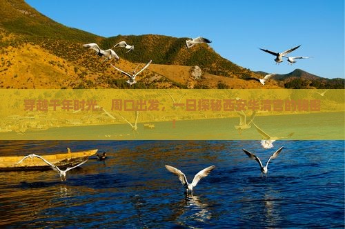 周口去西安华清宫一日游