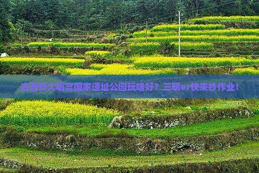 三明去西安大明宫国家遗址公园哪里玩