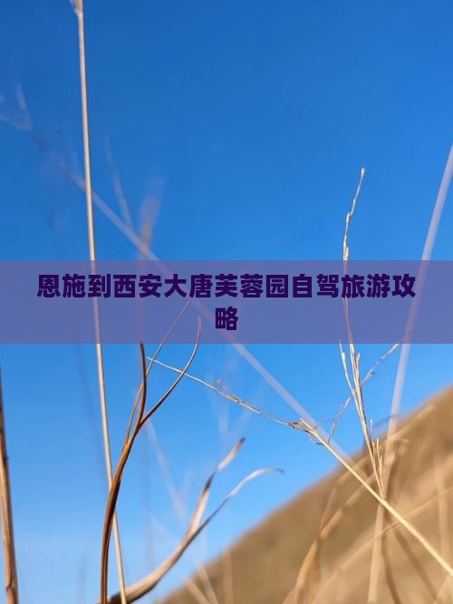 恩施到西安大唐芙蓉园旅游