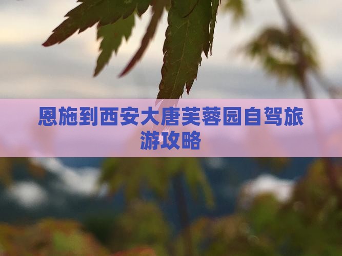 恩施到西安大唐芙蓉园旅游