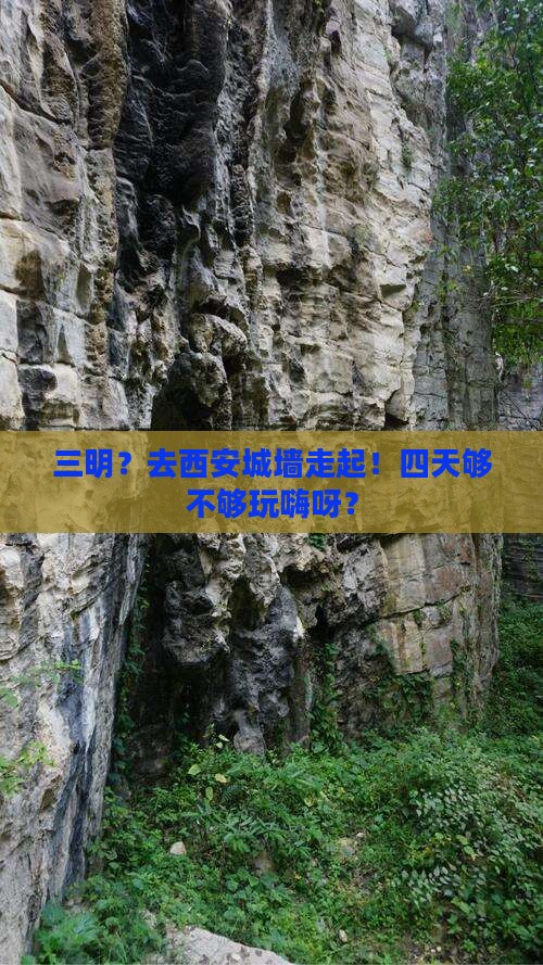三明去西安城墙四日游