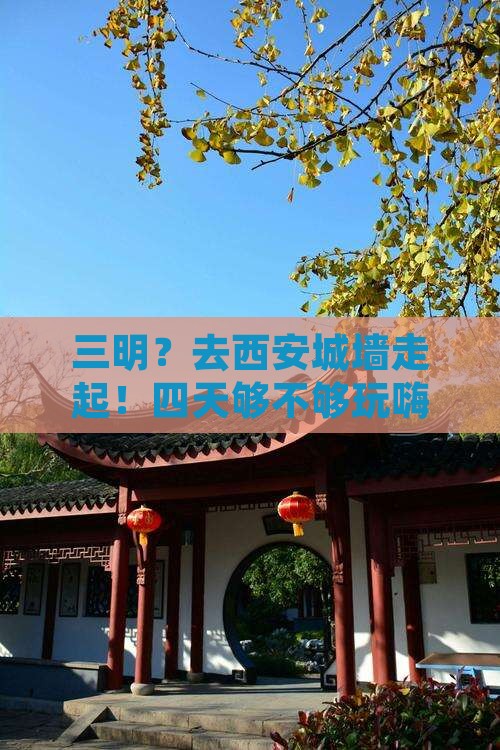 三明去西安城墙四日游