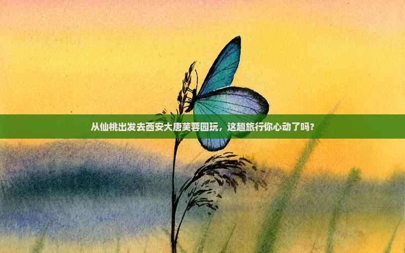 仙桃到西安大唐芙蓉园旅游