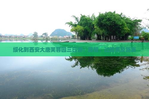 绥化到西安大唐芙蓉园三日游
