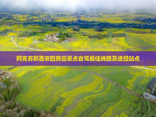 阿克苏到西安回民街景点