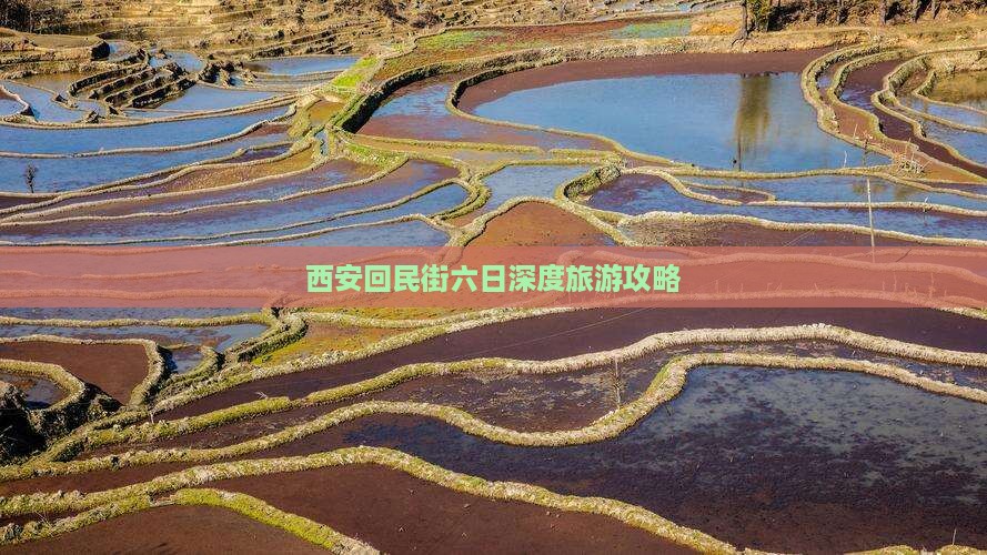 宣城去西安回民街六日游
