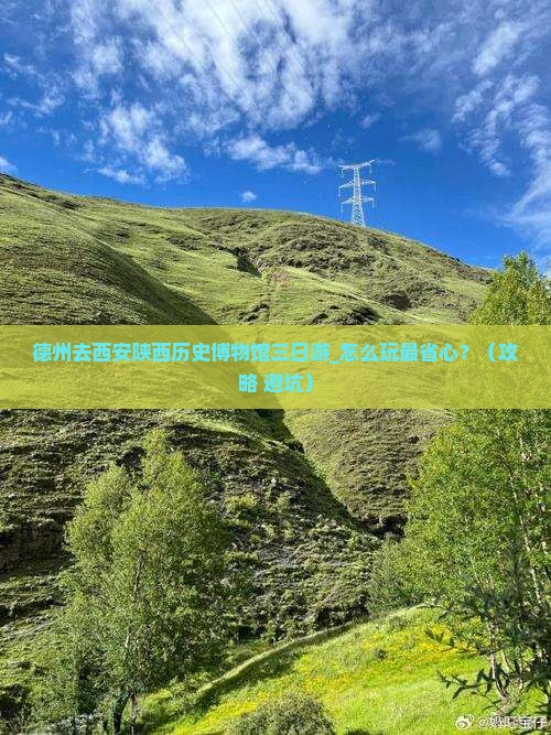 德州去西安陕西历史博物馆三日游