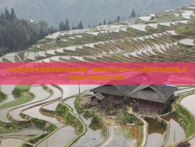 黄山到西安大唐芙蓉园大型旅游团