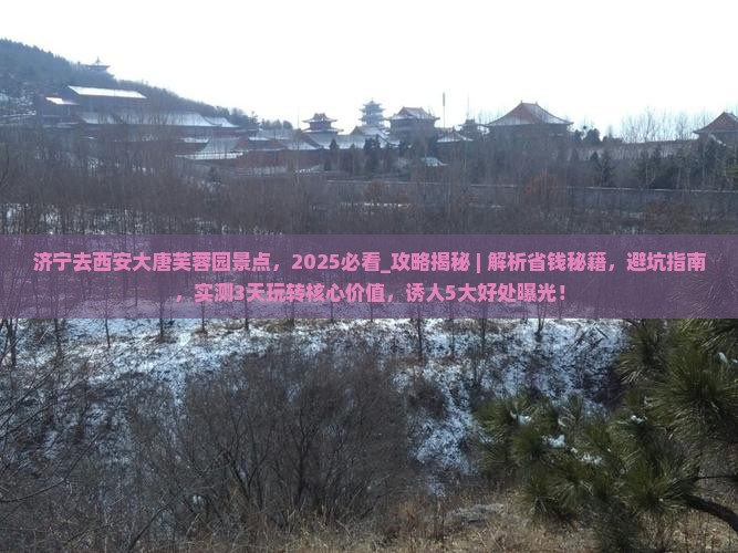 济宁去西安大唐芙蓉园景点