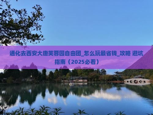 通化去西安大唐芙蓉园自由团