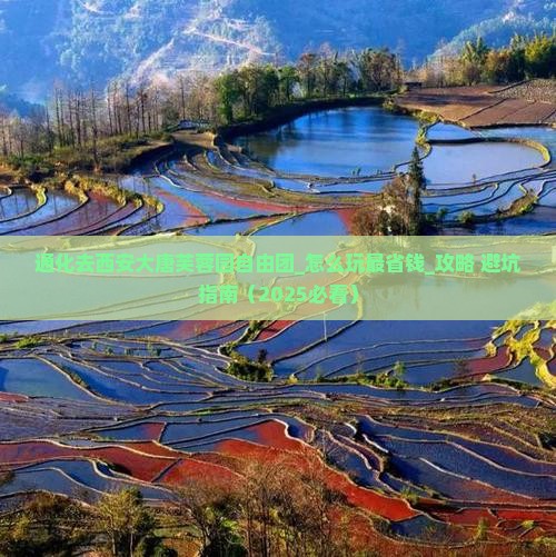 通化去西安大唐芙蓉园自由团