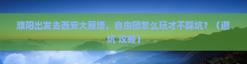 濮阳去西安大雁塔自由团