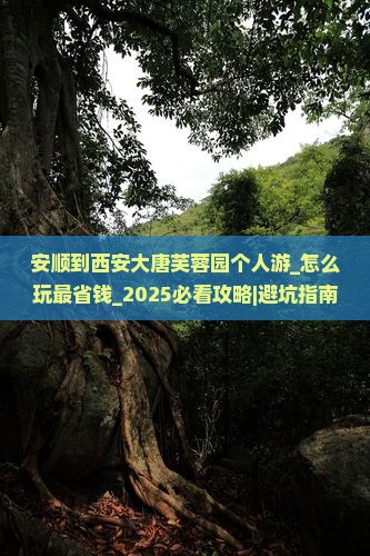 安顺到西安大唐芙蓉园个人游
