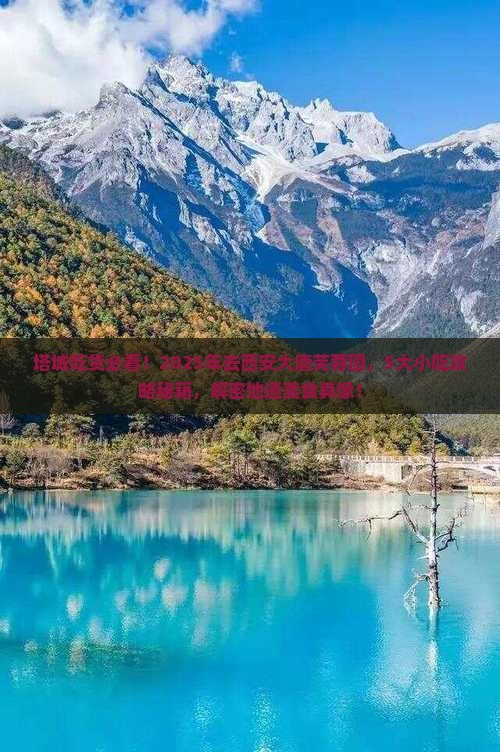 塔城去西安大唐芙蓉园旅游小吃