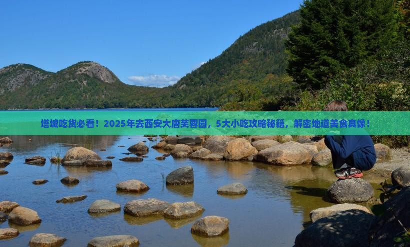 塔城去西安大唐芙蓉园旅游小吃
