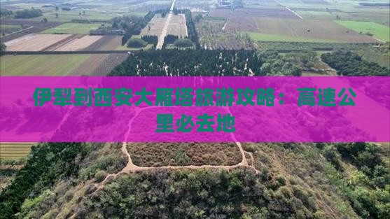 伊犁到西安大雁塔必去地