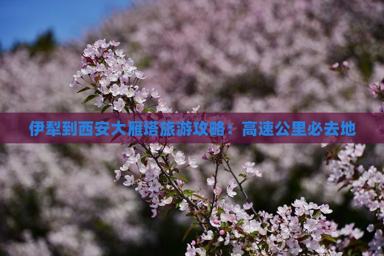 伊犁到西安大雁塔必去地