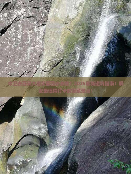中卫去西安大唐芙蓉园必去地