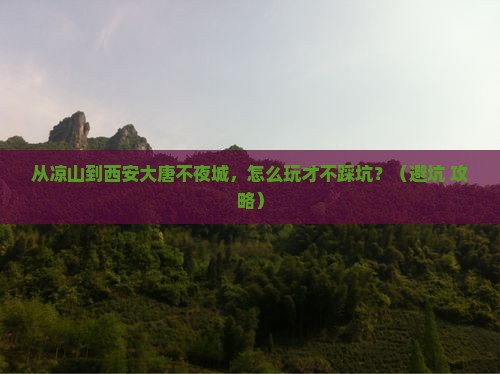 凉山去西安大唐不夜城门票