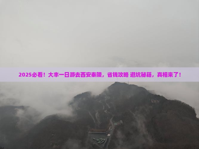 大丰到西安秦始皇帝陵博物院一日游