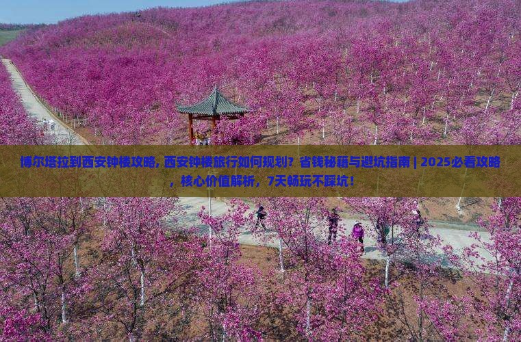 博尔塔拉到西安钟楼攻略
