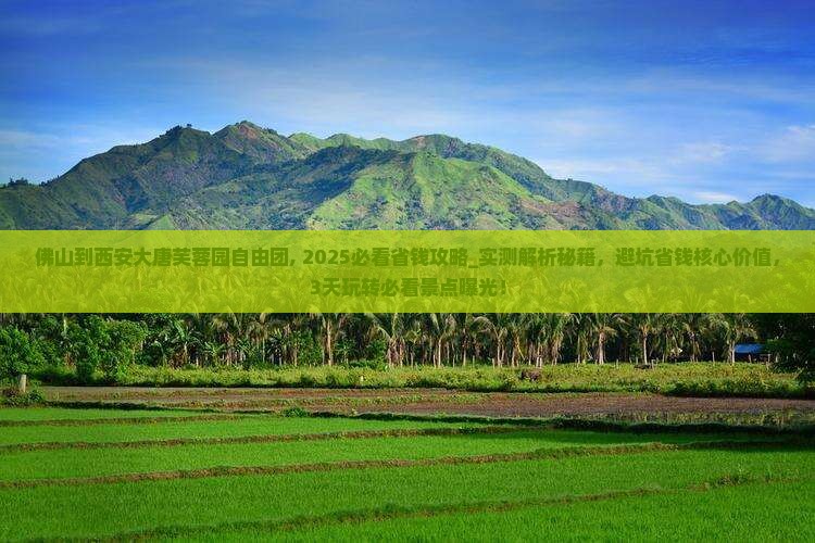 佛山到西安大唐芙蓉园自由团