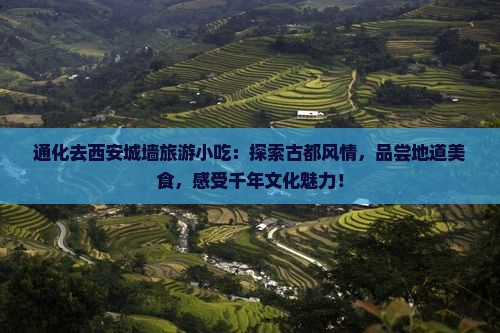 通化去西安城墙旅游小吃