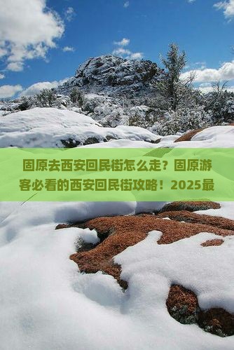 固原去西安回民街景点
