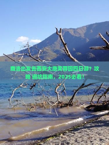 商洛去西安大唐芙蓉园四日游