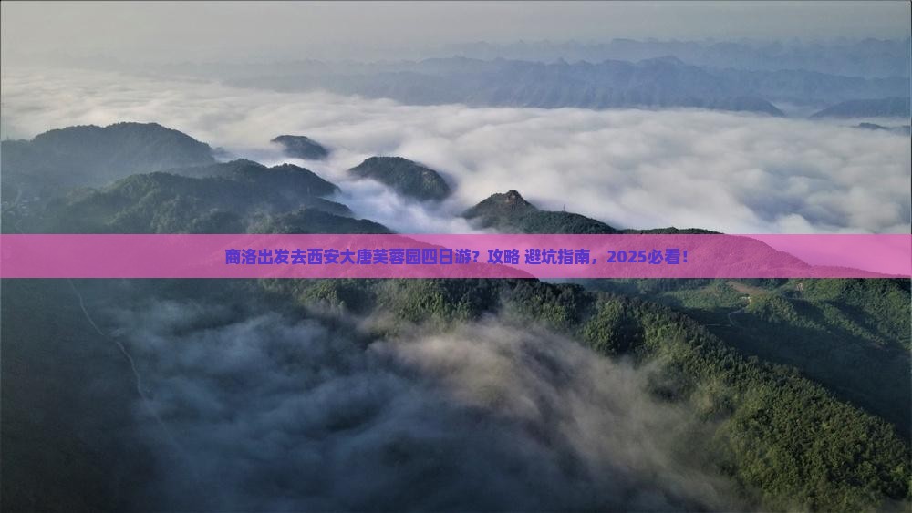 商洛去西安大唐芙蓉园四日游