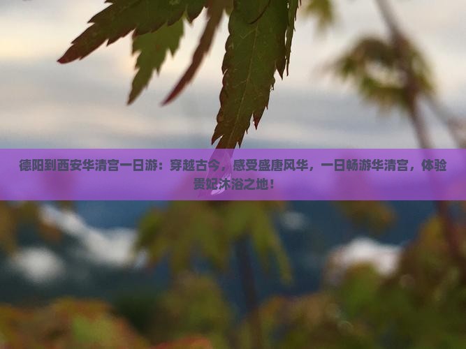 德阳到西安华清宫一日游