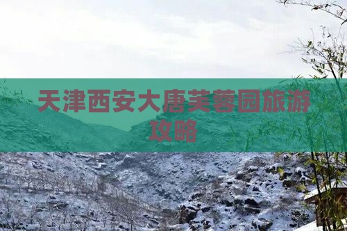 天津去西安大唐芙蓉园自由团