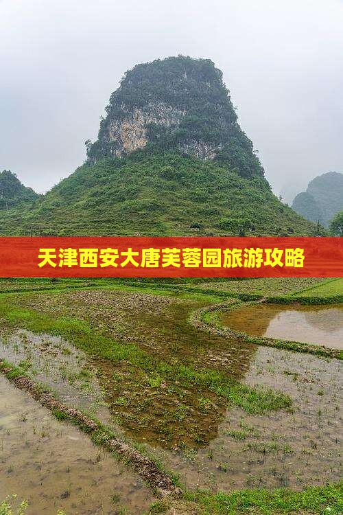 天津去西安大唐芙蓉园自由团