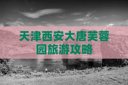 天津去西安大唐芙蓉园自由团