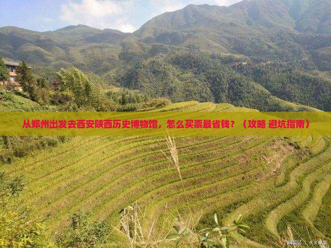 郑州去西安陕西历史博物馆门票