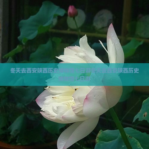 冬天去西安陕西历史博物馆七日游