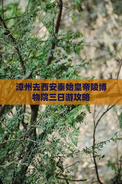 漳州去西安秦始皇帝陵博物院三日游