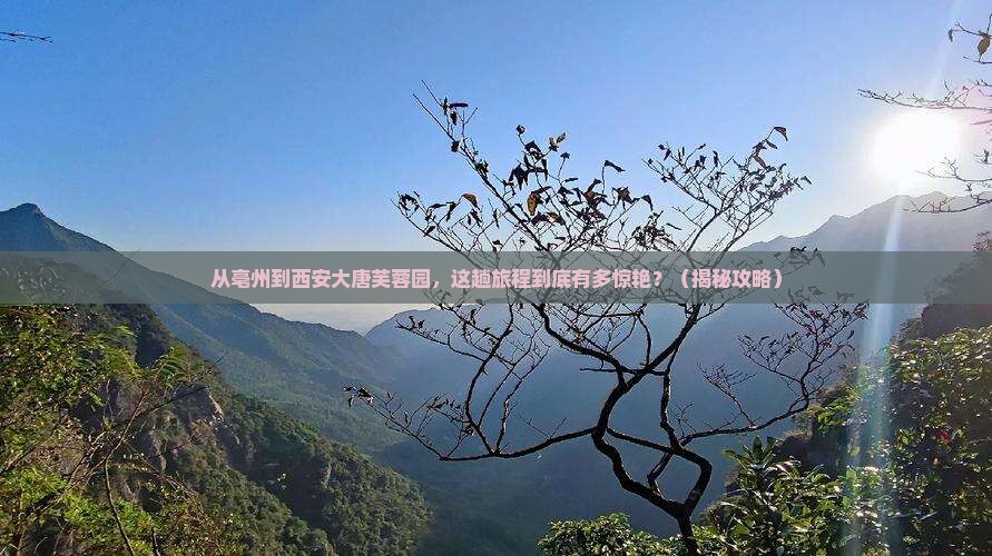 亳州到西安大唐芙蓉园旅游