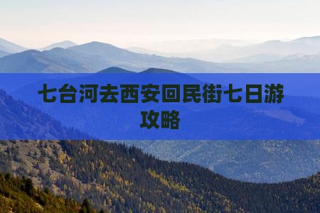七台河去西安回民街七日游