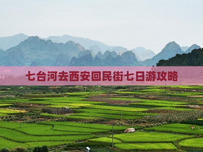 七台河去西安回民街七日游