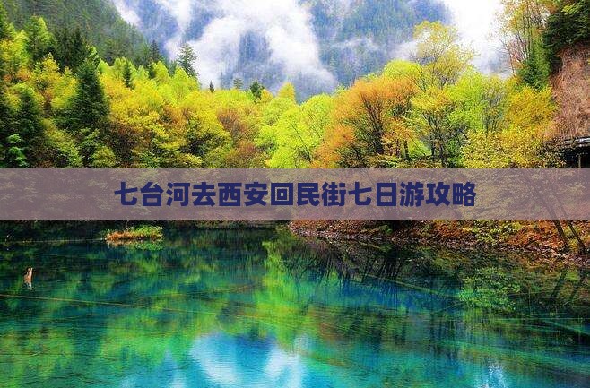 七台河去西安回民街七日游