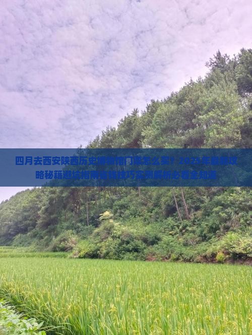 四月去西安陕西历史博物馆门票