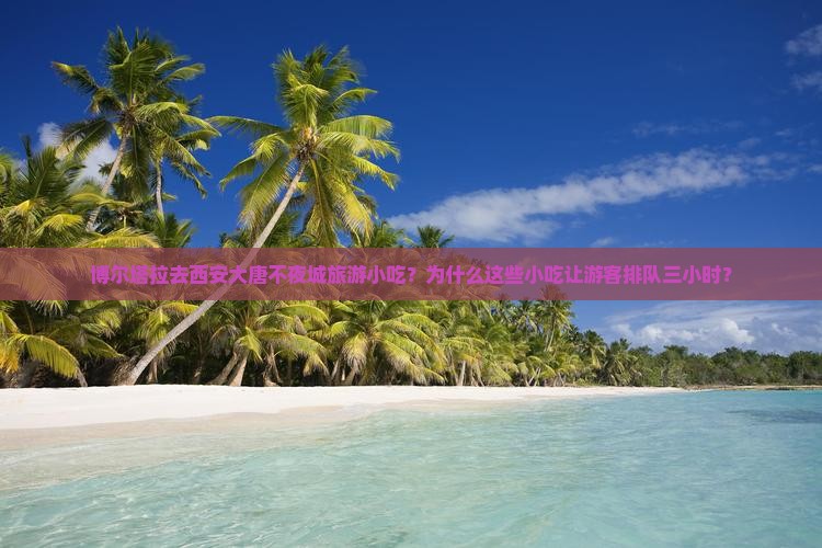 博尔塔拉去西安大唐不夜城旅游小吃