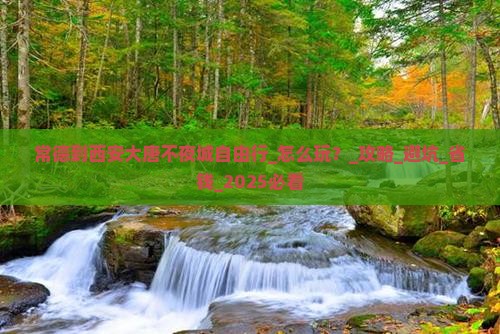 常德到西安大唐不夜城自由行