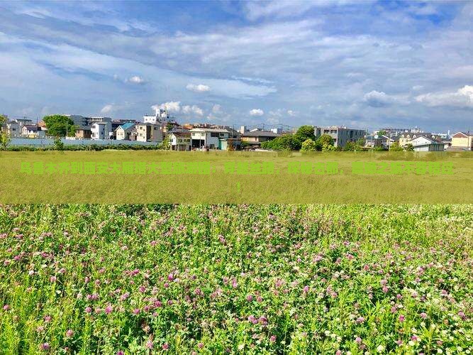 乌鲁木齐到西安大雁塔大型旅游团