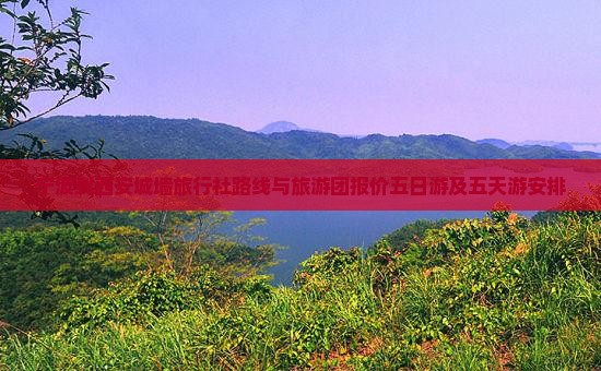 宁波到西安城墙旅行社