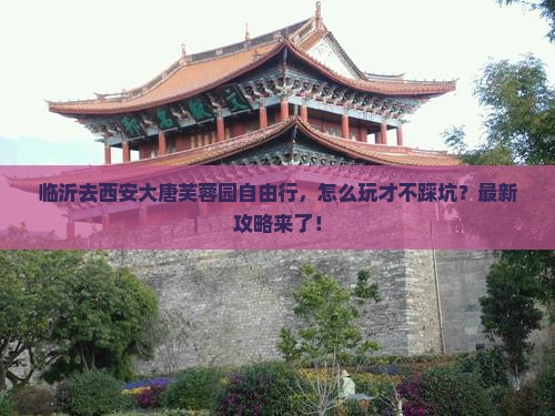 临沂去西安大唐芙蓉园自由行
