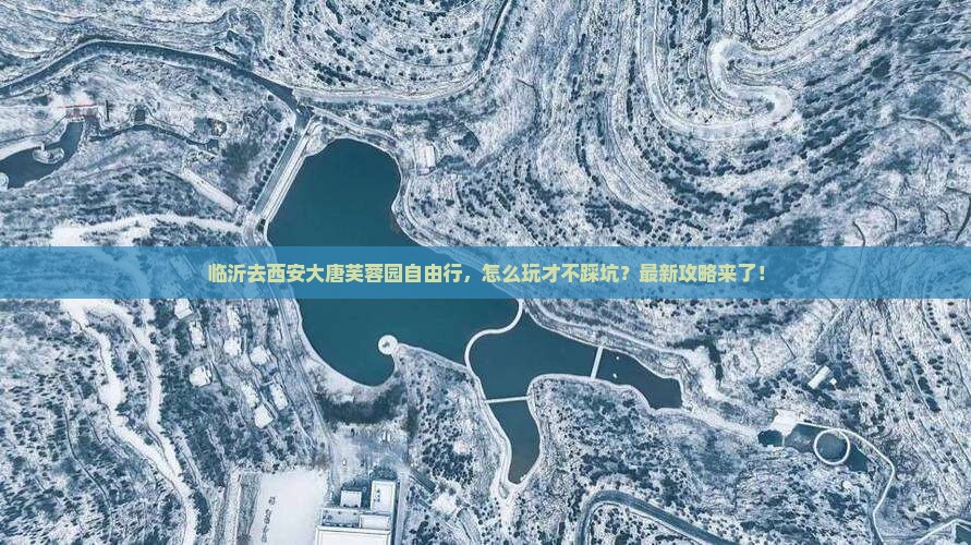 临沂去西安大唐芙蓉园自由行