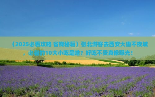张北去西安大唐不夜城旅游小吃